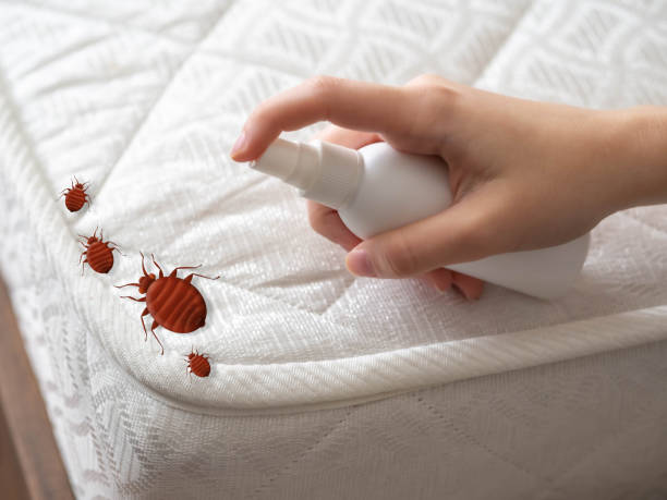 Best Residential Pest Control  in Parkville, MD